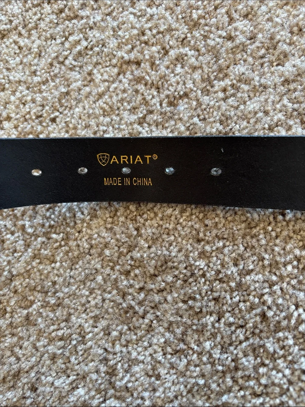 Ariat Black Studded Leather Belt with Ornate Silver Buckle